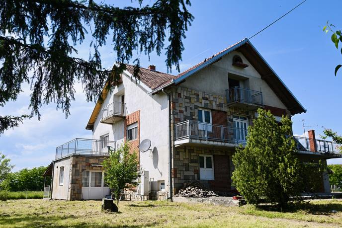 2650  Novica negovanovic  foto Marko KArovic (2).jpeg