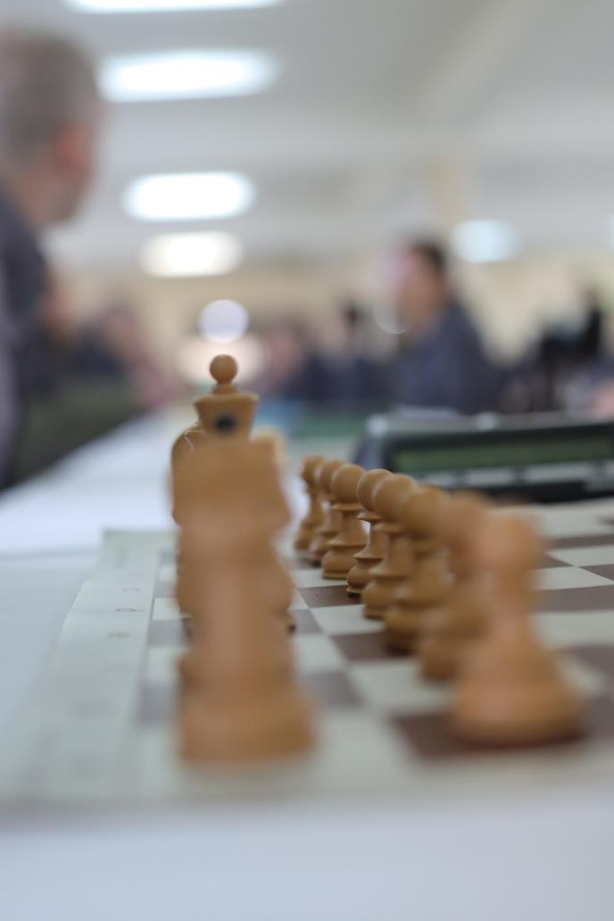 FOTO Uprava za izvršenje krivičnih sankcija, šah 3.jpg