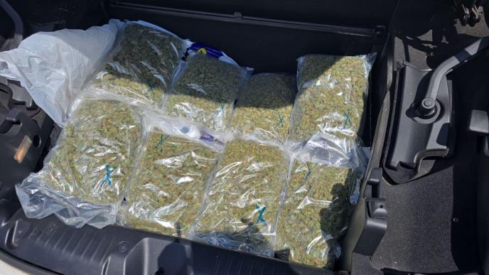 WhatsApp Image 2025-06-02 at 11.07.55 AM.jpeg