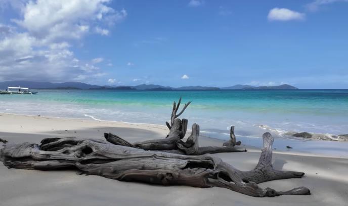 Screenshot 2025-06-02 144203.png