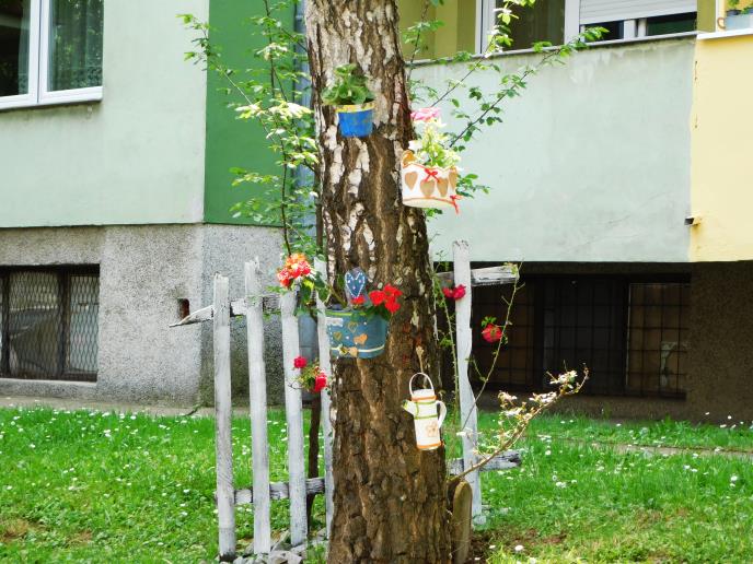 LOZNICA - Saksije na stablima.jpg