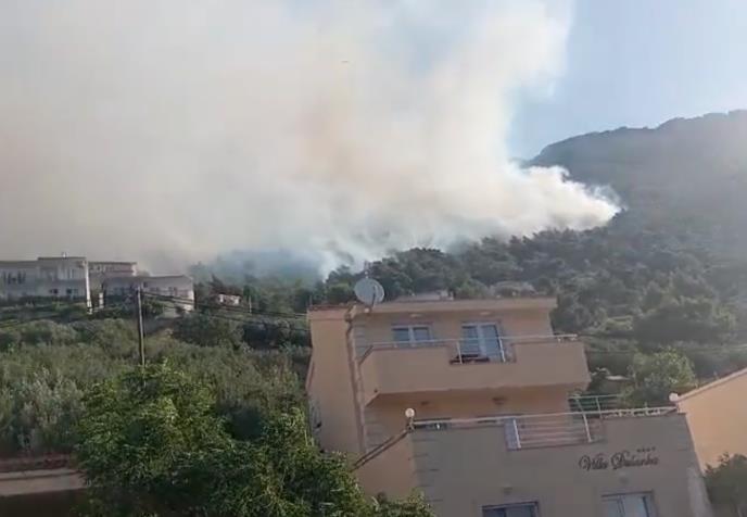 Screenshot 2025-06-21 100625.png