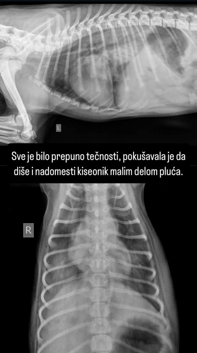 1000031104.jpg