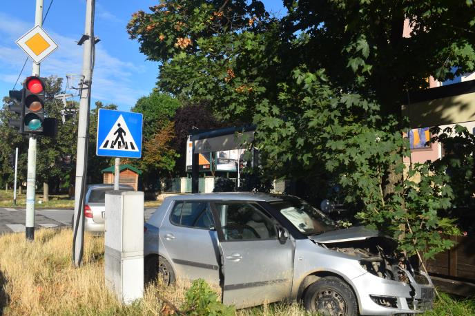 Zakucao se u drvo foto s.u. (2).JPG