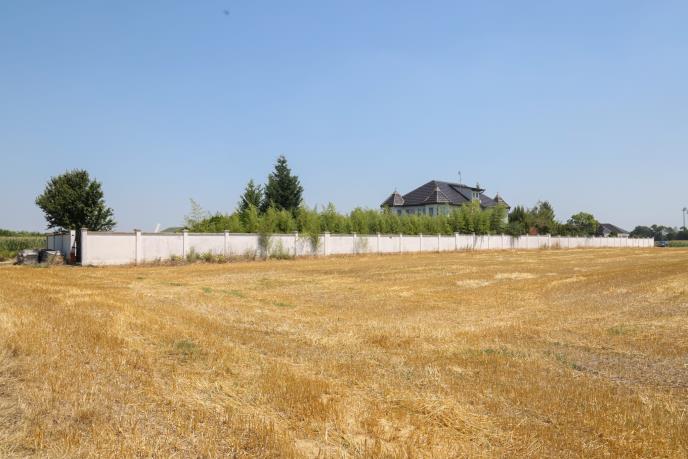 WhatsApp Image 2025-07-21 at 3.06.04 PM (1).jpeg