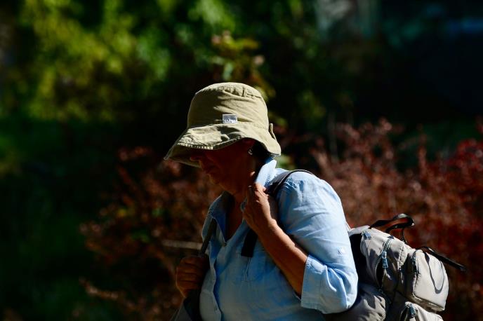 WhatsApp Image 2025-07-26 at 11.29.24 AM.jpeg