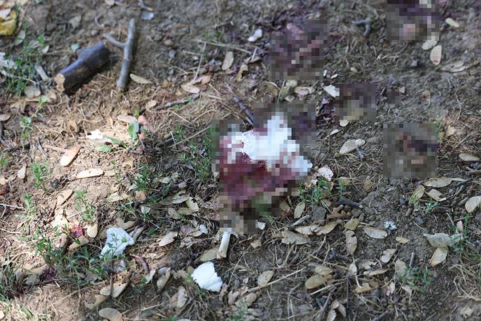 WhatsApp Image 2025-08-02 at 15.34.35 (2).jpeg