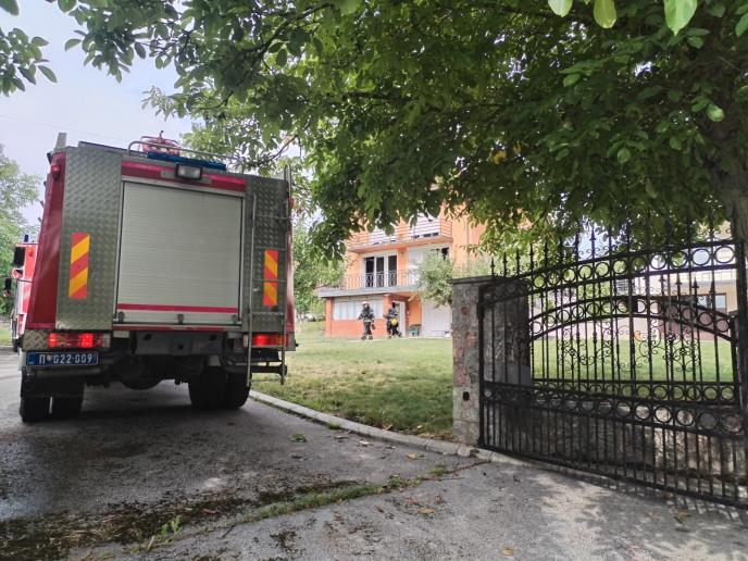 WhatsApp Image 2025-08-06 at 10.23.04 (2).jpeg