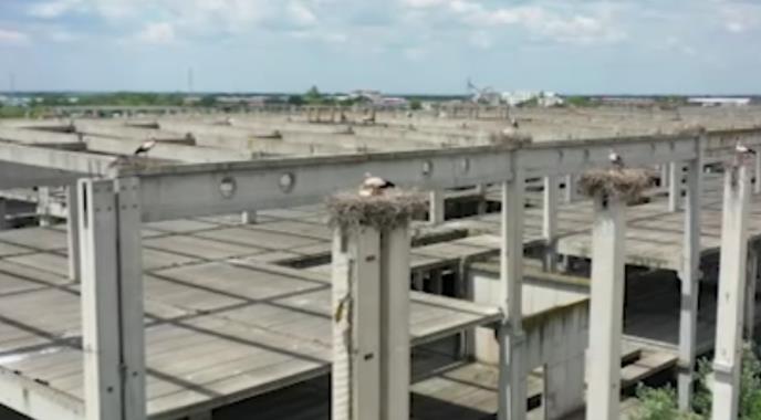 Screenshot 2025-08-06 163452.jpg