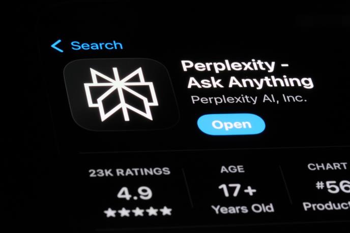 Perplexity (1).jpg