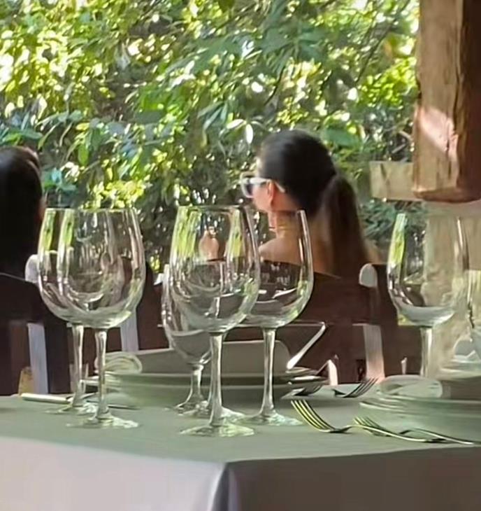 Svetlana Ceca Ražnatović (3).jpeg