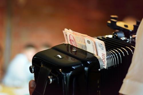 muzika, harmonika, harmonikaš, kafana, dinari, bakšiš