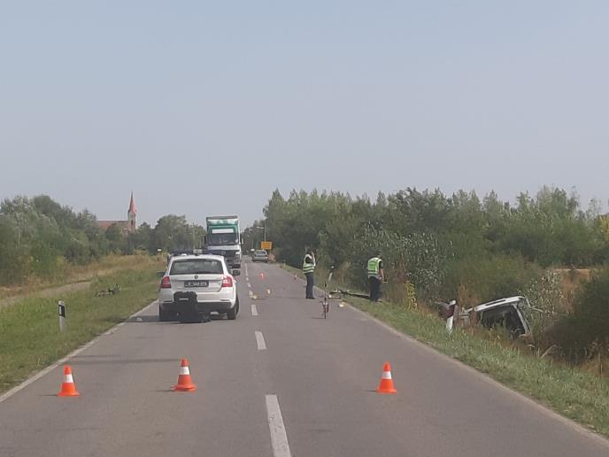 WhatsApp Image 2025-08-28 at 3.27.07 PM.jpeg