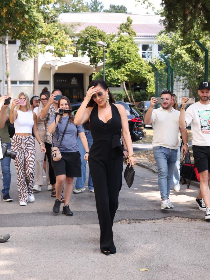 Zvezde Granda   Svetlana Ceca Ražnatović.jpeg