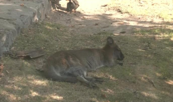 Screenshot 2025-09-03 193356.jpg