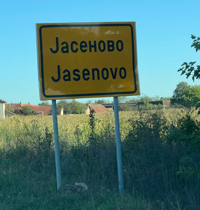 WhatsApp Image 2025-09-20 at 13.14.21.jpeg