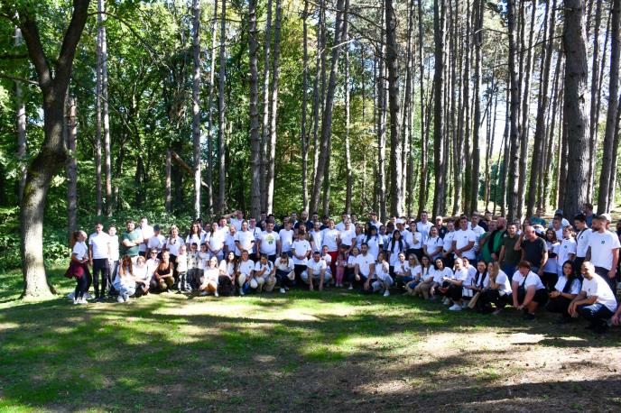 Павков Ф гора кампања.jpg