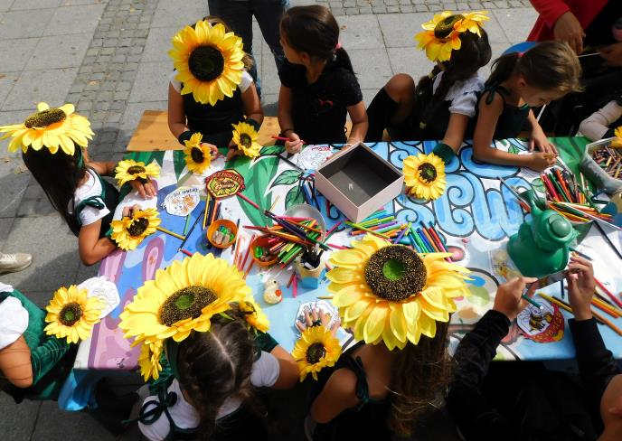 LOZNICA - Suncokreti.JPG