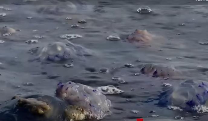 Screenshot 2025-10-01 103718.png