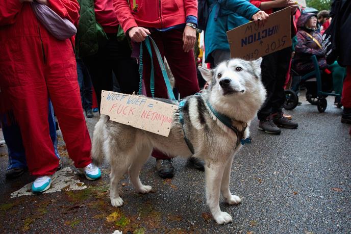 109 AP Peter Dejong.jpg