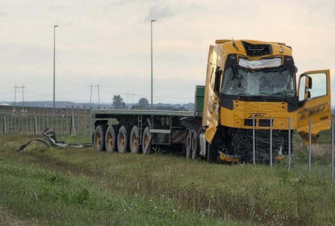 WhatsApp Image 2025-10-06 at 10.33.38_e3372eb8.jpg