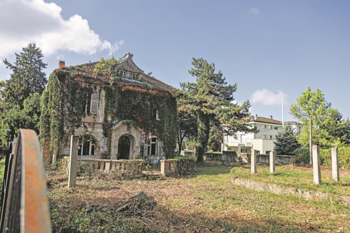 leka vila na senjaku ulica andre nikolica03 News1 Nenad Kostic.jpg