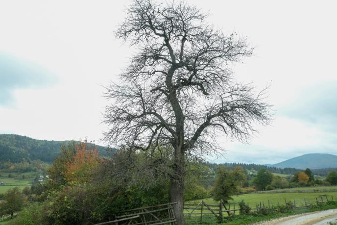 WhatsApp Image 2025-10-12 at 08.36.18.jpeg