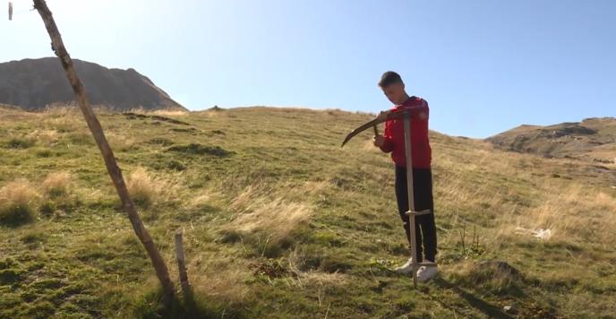 Screenshot 2025-10-14 121054.png