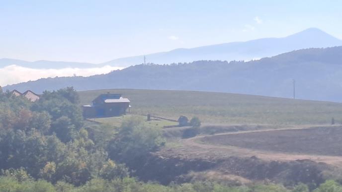 WhatsApp Image 2025-10-16 at 08.31.59_b61c6275.jpg