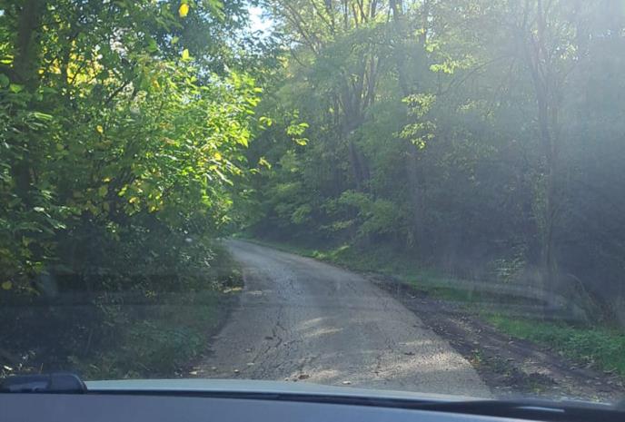 WhatsApp Image 2025-10-16 at 09.24.27_0fb0e4a3.jpg