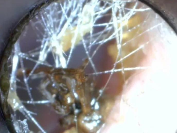 Screenshot 2025-10-24 134717.png