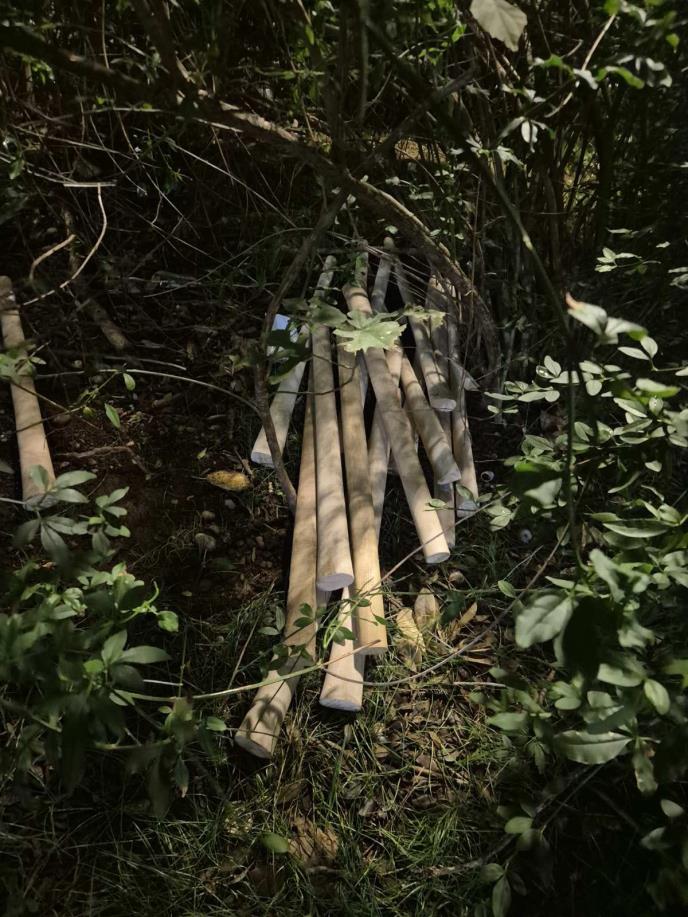 bejzbol palice (2).jpeg