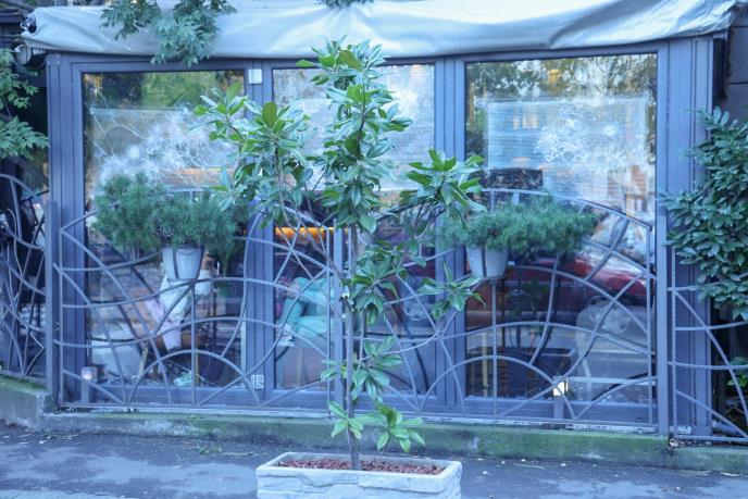 kafić Angelino Vračar