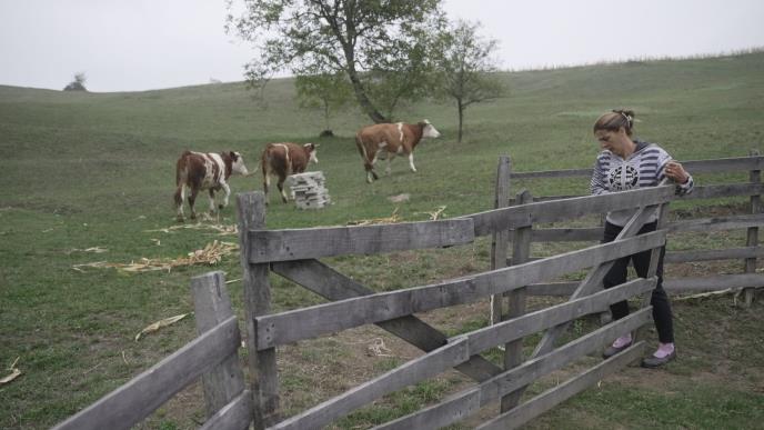 1762244420lucani-davidoviciu-porodica-fotorina (4).jpg