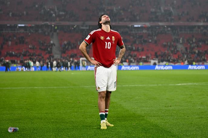 Dominik Soboslaj na utakmici protiv Republike Irske