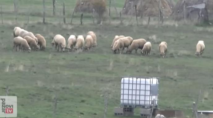 Screenshot 2025-11-19 111257.png