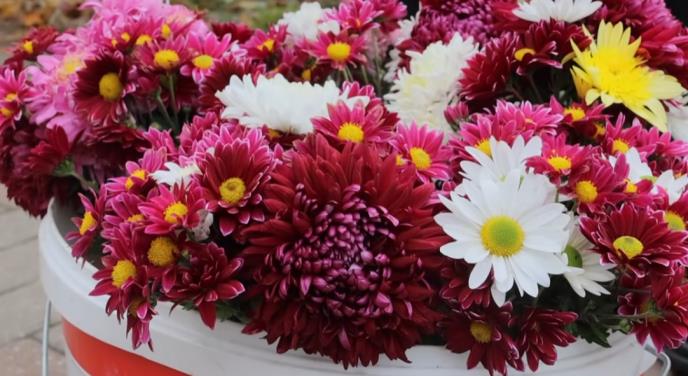 Screenshot 2025-11-24 140825.png