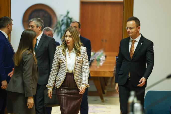 Dubravka Đedović Handanović (7).jpeg