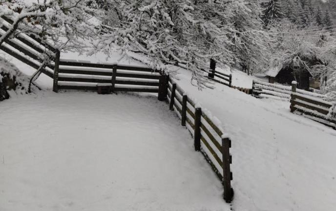 Screenshot 2025-11-27 100413.jpg