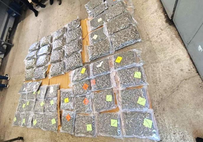 Droga zaplena zaplenjena droga