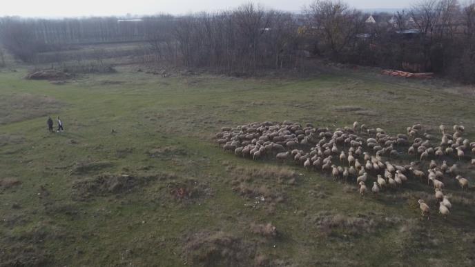 1765894034mladi-stocari-fotorina (8).jpg