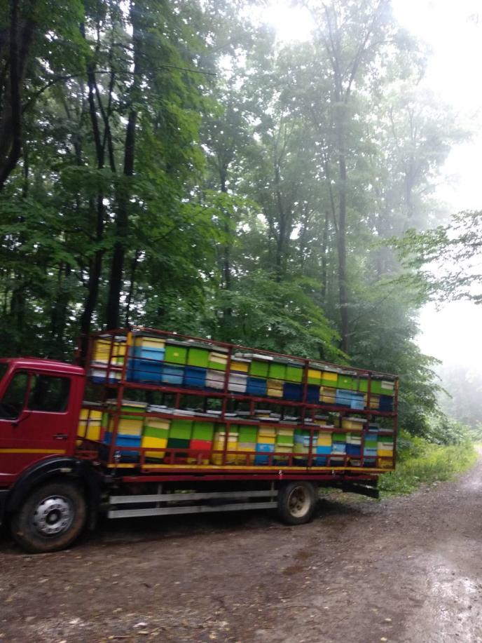 Vodnjika iz Mačkata (4).jpg