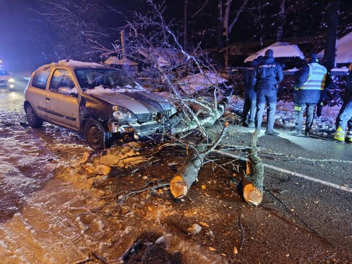 WhatsApp Image 2026-01-06 at 05.24.33.jpeg