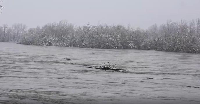 LOZNICA - Drina kod LOznice.jpg