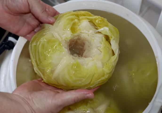 kiseli kupus u buretu je najbolja zimnica