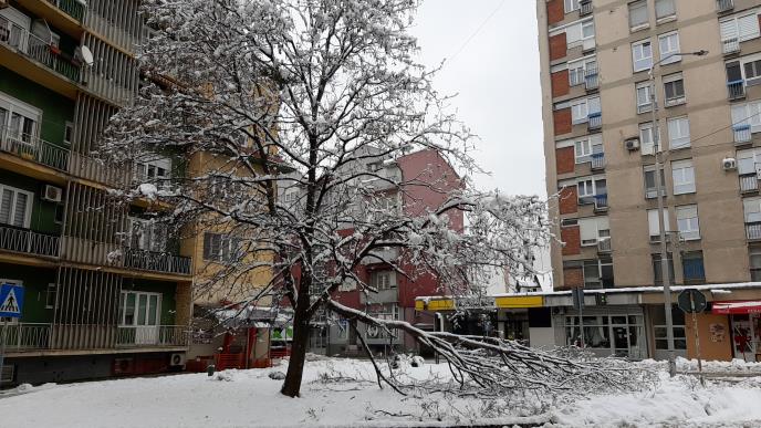 LOZNICA - Težak sneg.jpg