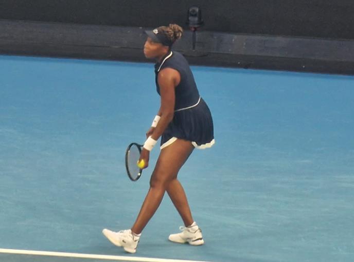 Danilović - Vilijams