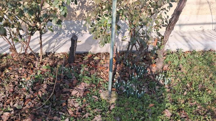 WhatsApp Image 2026-01-18 at 10.32.374.jpeg