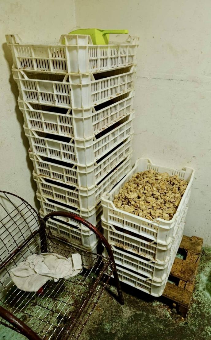 škodljivi proizvodi