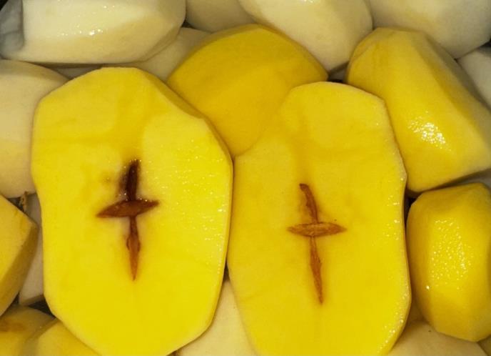 Rožaje  porodica Garović krst na krompiru